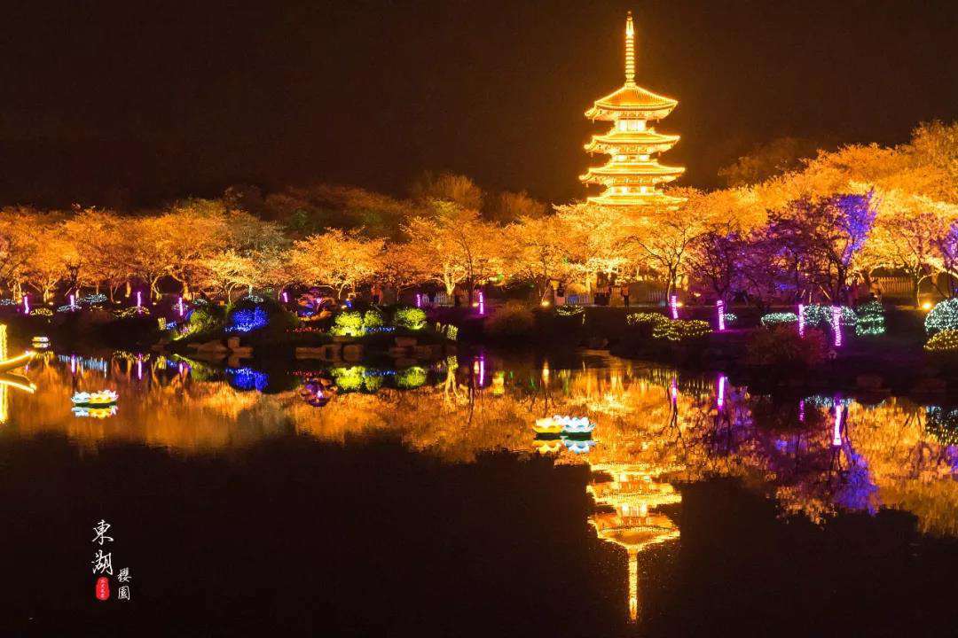 武漢櫻花園8.jpg