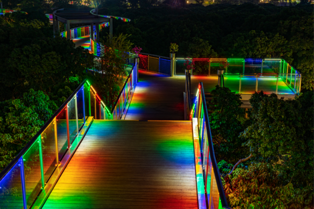 深圳香蜜公園道路夜景